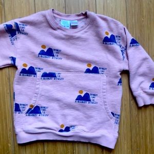 Zara sweatshirt toddler 3-4 yrs